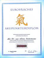 images/diplome_hf/Diplom_Schoenbacher_EuropaeischesDiplom_1.jpg