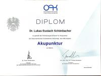 images/diplome_qf/Diplom_Schoenbacher_Akupunktur_1.jpg